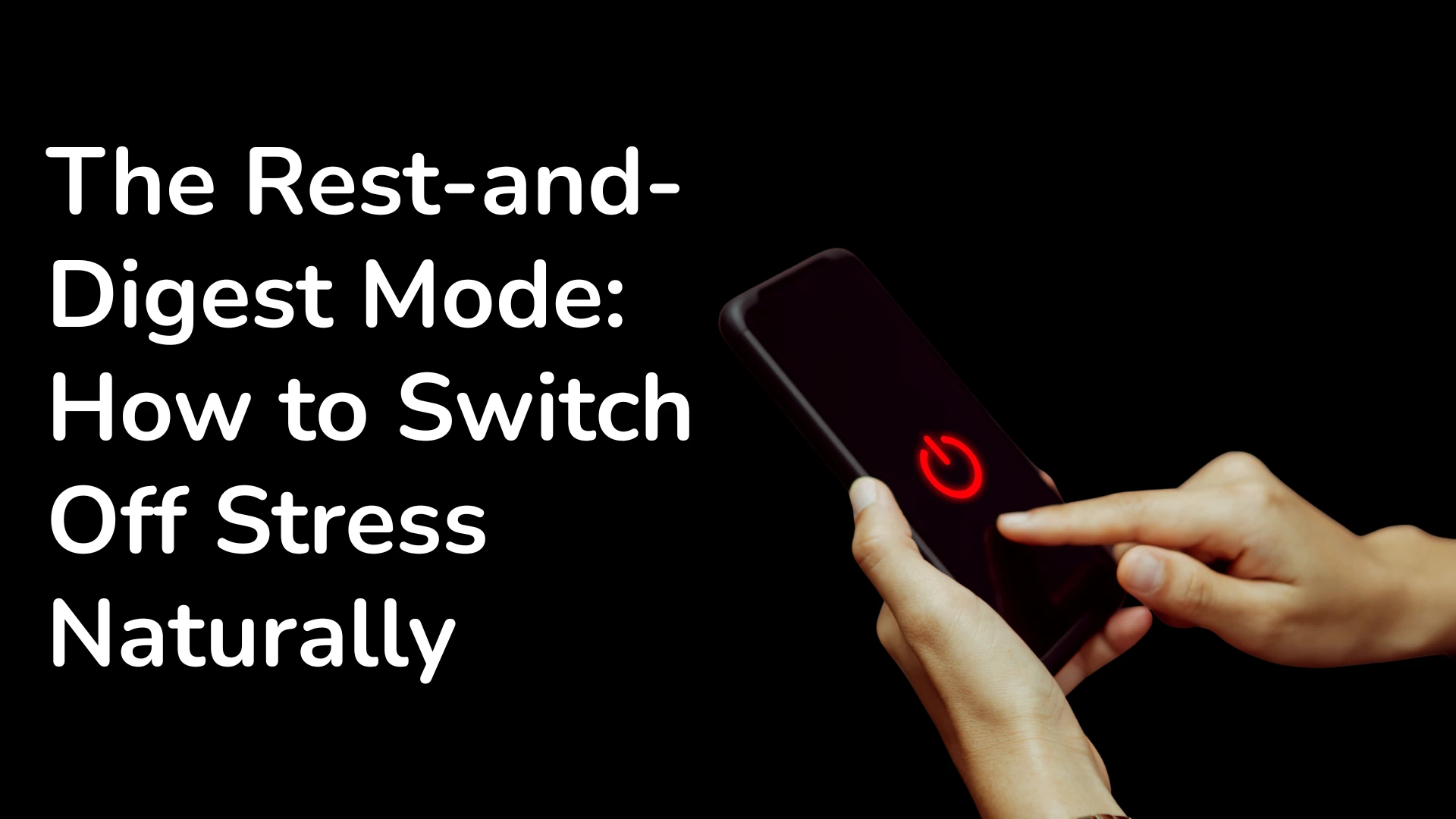 The Rest-and-Digest Mode: How to Switch Off Stress Naturally